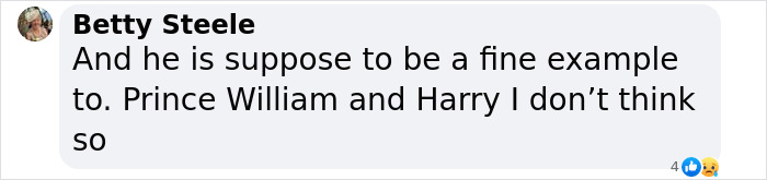 Text message by Betty Steele criticizing moral example related to Prince William and Harry.