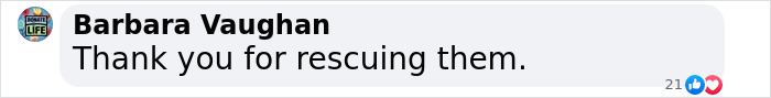 Barbara Vaughan's thankful comment about the rescue, expressing gratitude for saving them.