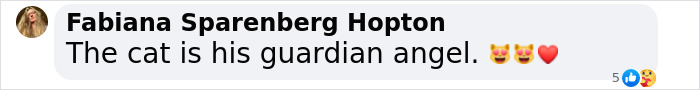 Screenshot of a comment reading "The cat is his guardian angel" with cat and heart emojis.
