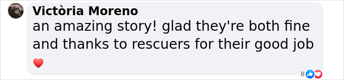 Comment expressing relief and gratitude for the survival of a man and kitten in a mountain ravine.