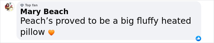 Facebook comment from Mary Beach saying, "Peach's proved to be a big fluffy heated pillow," with an orange heart emoji.