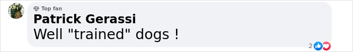 Comment by Patrick Gerassi saying, "Well 'trained' dogs!" with a top fan badge.