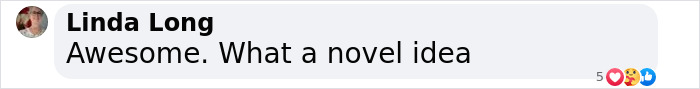 Linda Long comments, "Awesome. What a novel idea," on a post about a woman building a dog train.