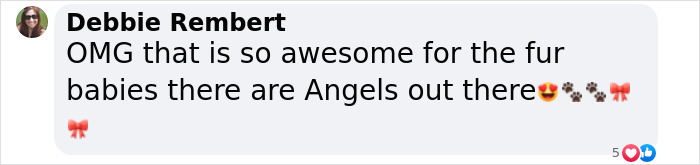 Comment praising a woman building a dog train, expressing admiration for her efforts for dogs.