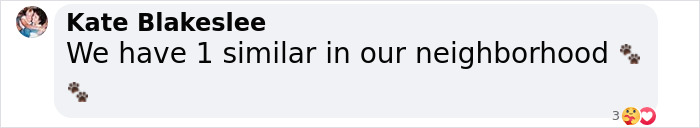 Comment from Kate Blakeslee mentioning a similar dog train in her neighborhood with paw print emojis.