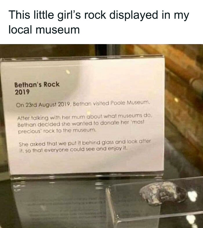 Rock display captioned in a museum, reflecting humor and knowledge from science memes.