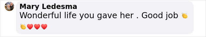 Comment praising a woman for helping an abandoned baby horse recover.