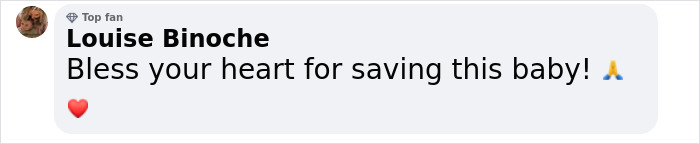 Comment praising a woman for nursing an abandoned baby horse back to health, featuring heart and prayer emojis.