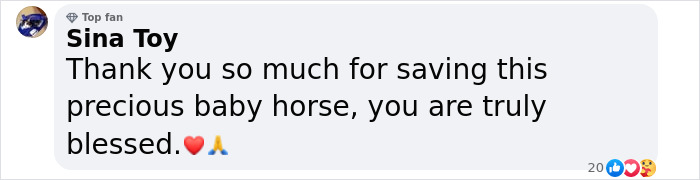 Comment thanking a woman for nursing an abandoned baby horse back to health.