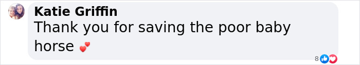 Grateful comment on a post about a woman nursing an abandoned baby horse back to health.