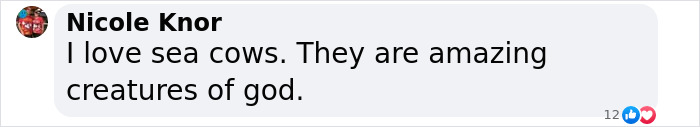 Comment praising sea cows, highlighting their amazing nature.
