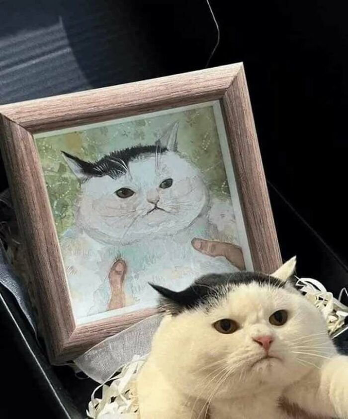 A fluffy white cat sitting next to a matching framed portrait, embodying blessed images positivity.
