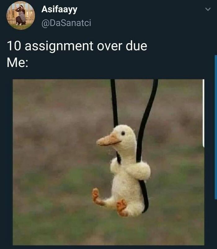 Plush duck on a swing represents procrastination humor in science memes.