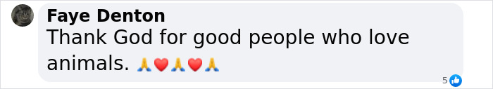 Text comment praising people who love animals, with emojis of praying hands and hearts.