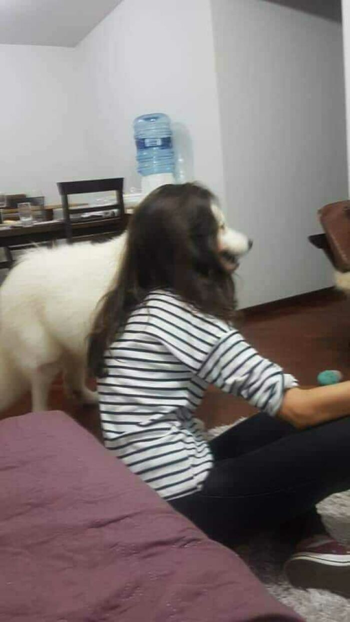 A woman sitting on the floor with a fluffy white dog beside her, creating a blessed image in a cozy room.