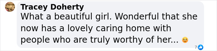 A comment praising a rescued dog who now has a loving home, with a heartwarming message and smiley emoji.