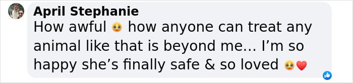 Comment expressing relief and happiness for a rescued dog spending her first Christmas in a loving home.