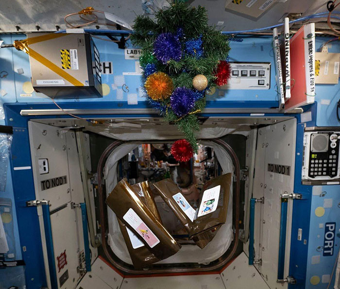 Festive Photo Of Stranded Astronauts Sparks Conspiracy Theories: &ldquo;Something Fishy Is Going On&rdquo;