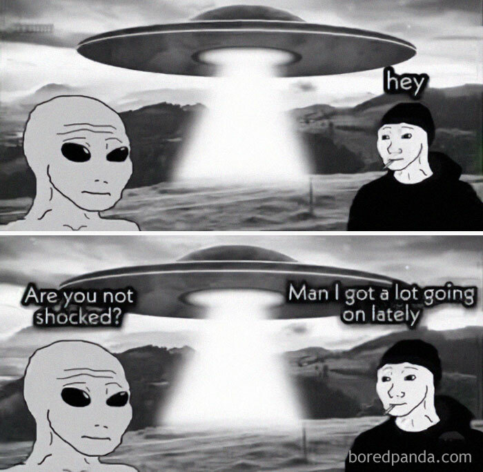 Alien and person humorously discussing a UFO in a field; reflects humorous unhinged memes theme.