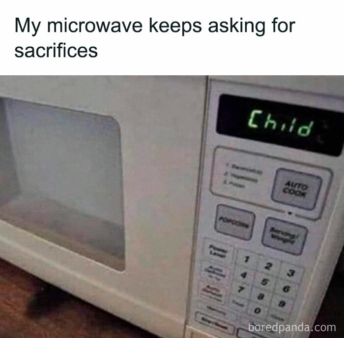 Humorous meme of a microwave with "Child" displayed, captioned "My microwave keeps asking for sacrifices."