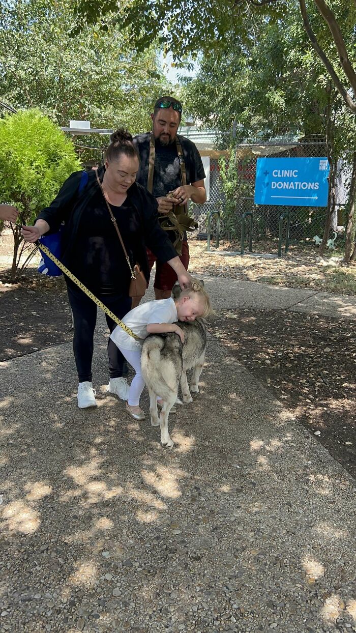 A husky reunites with a little girl outside a shelter, both surrounded by adults and trees.