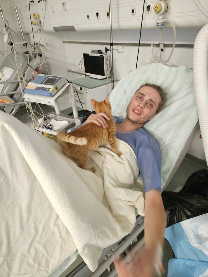 Man in hospital bed smiling, holding a kitten; survived mountain ravine thanks to kitten's warmth during escape from war.