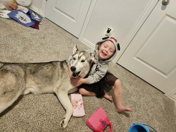 Happy girl hugging a resilient Husky on the carpet, surrounded by toys.