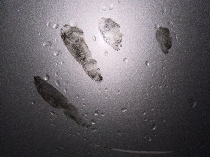 “Still Can't Explain What We Saw”: 30 Eerie Sights That Made Nighttime Drivers Question All