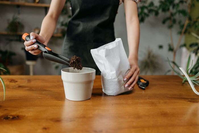Person placing soil in a pot with tongs on a wooden table.