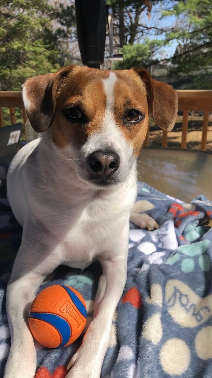 Tater And His Ball!!