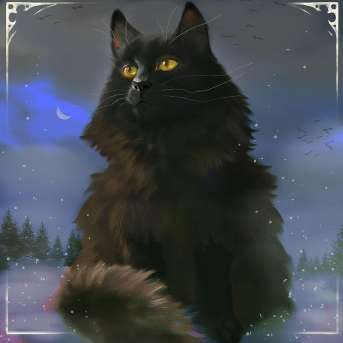 Illustrated black cat with yellow eyes under a night sky, featuring snowflakes and trees, capturing intriguing facts theme.