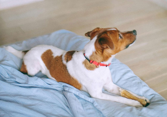 “To This Day It Still Gives Me Chills”: 30 Bizarre Experiences People Still Can’t Make Sense Of