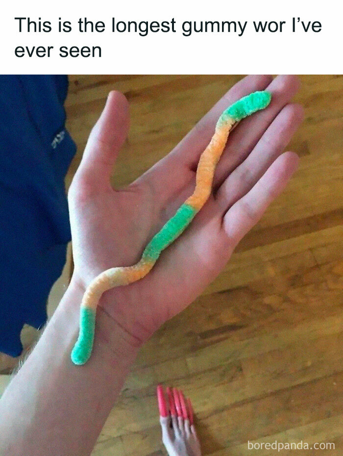Hand holding a long, multicolored gummy worm with humorous caption.