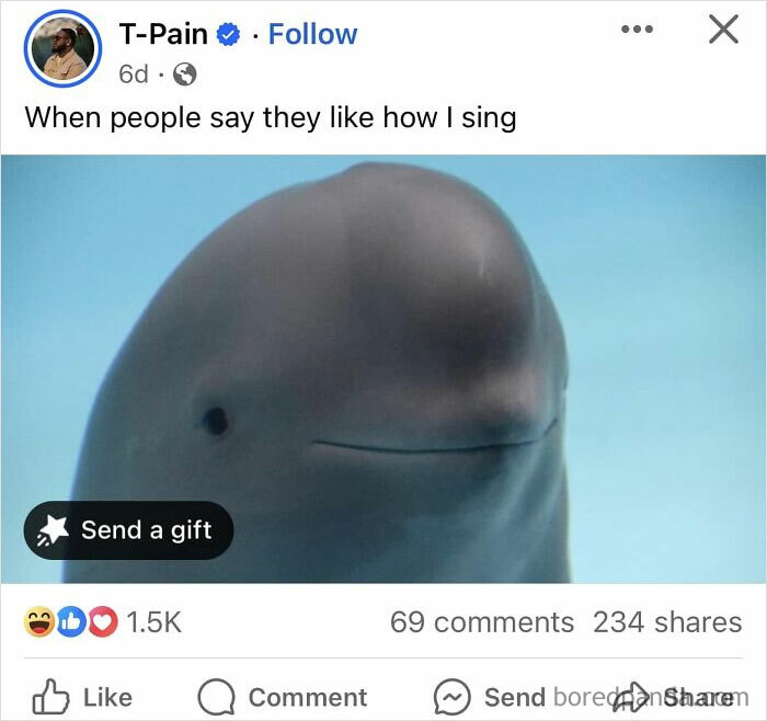 A funny post by an official social media account featuring a smiling whale with a humorous caption about singing.