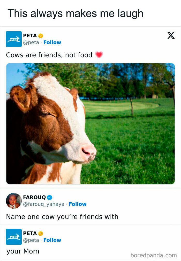 Funny social media exchange between PETA and a user discussing friendship with cows.