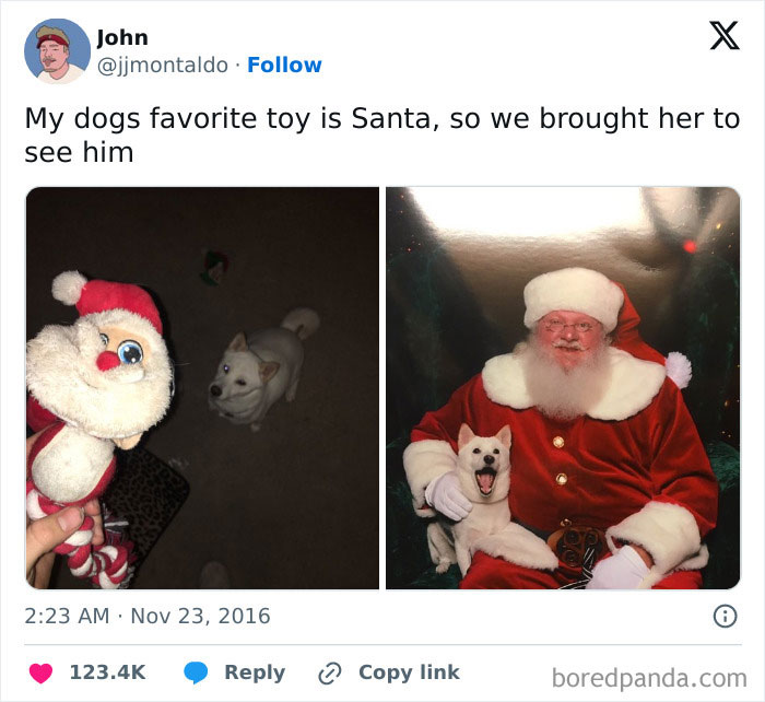 Dog meets Santa with its Santa toy in a wholesome holiday moment.