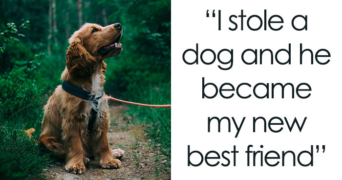 30 Times A Simple “You Up?” Text Escalated Beyond Anyone’s Expectations