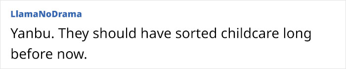 Text comment criticizing childcare planning.