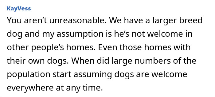 Text discussing uninvited dogs at a family Christmas gathering, questioning assumptions about dog hospitality.