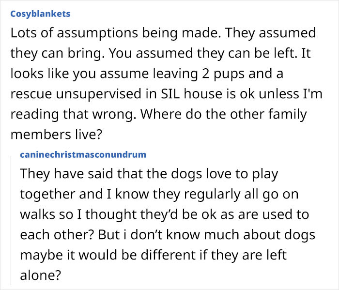 Text exchange discussing assumptions about leaving dogs unsupervised during a family Christmas gathering.