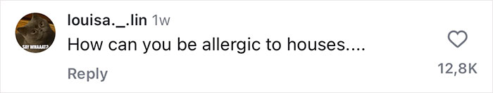 Comment questioning house allergy with 12.8K likes, highlighting Japan work rules. Comment questioning house allergy with 12.8K likes, highlighting Japan work rules.