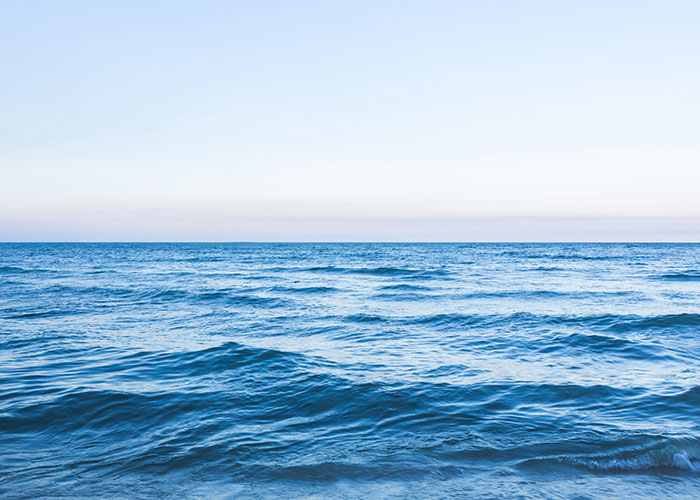 Calm ocean waves under a clear blue sky, illustrating wild sea sightings.