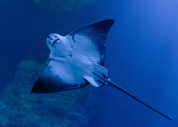 “Full Size Refrigerator Just Floating”: 30 Wild Sightings At Sea To Make You Ever-More Cautious