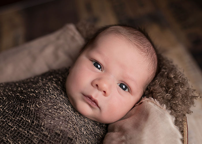 Newborn baby wrapped in a brown blanket, lying on a cozy pillow.