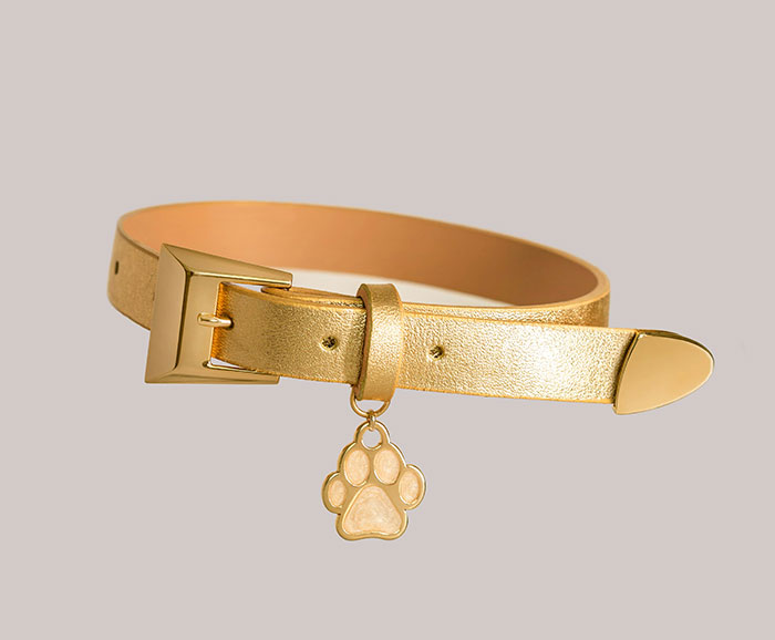 Golden dog collar with paw charm representing worst luck in Secret Santa gift exchange.