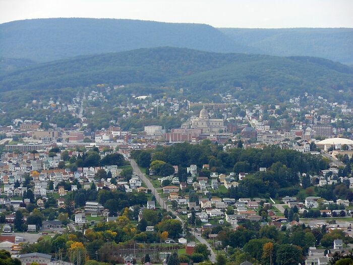 Hilly cityscape view representing worst city-country trip, with densely packed buildings and lush greenery.