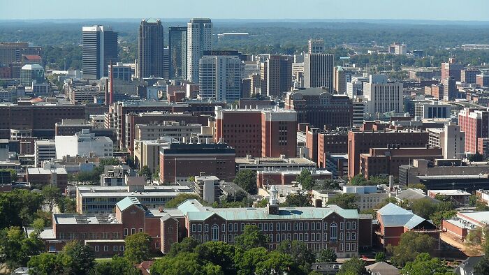 Skyline of a city with numerous buildings under a clear blue sky, illustrating urban density for worst city country trip.