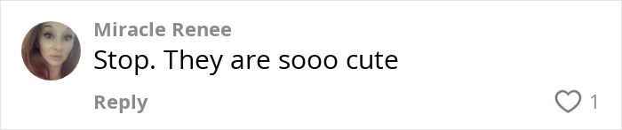 Comment stating, "Stop. They are sooo cute," in response to gifted thrifted boots. Comment stating, "Stop. They are sooo cute," in response to gifted thrifted boots.