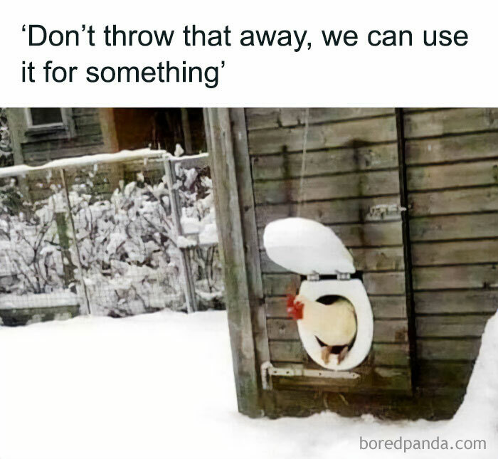 Funny-Country-Living-Memes