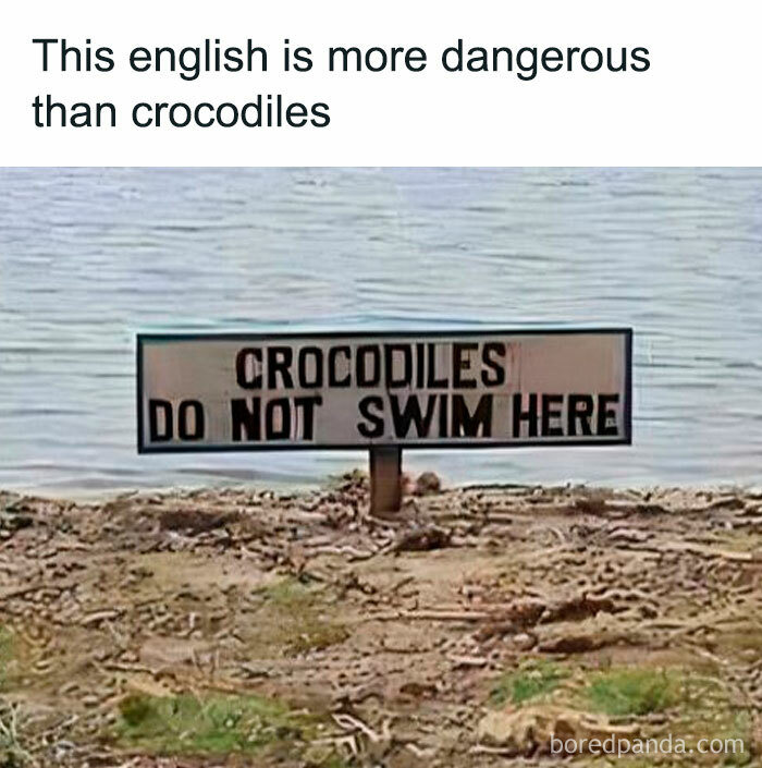 Sign with text "Crocodiles do not swim here" near a lake, illustrating a hilarious linguistic meme.